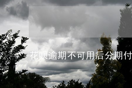 花呗逾期不可用后分期付款了