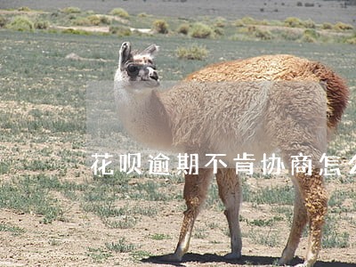 花呗逾期不肯协商怎么办 花呗逾期不肯协商怎么办