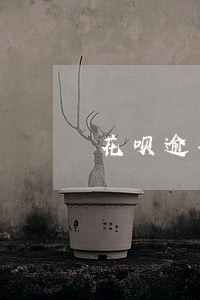 花呗逾期不能使用是怎么显示的 花呗逾期不能使用是怎么显示的