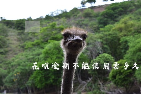 花呗逾期不能使用要多久能恢复 花呗逾期不能使用要多久能恢复