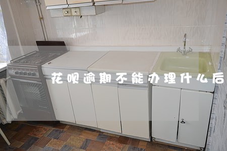 花呗逾期不能办理什么后果 花呗逾期不能办理什么后果