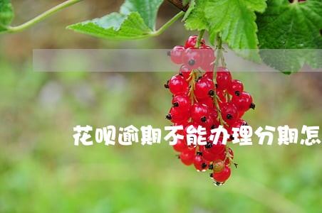 花呗逾期不能办理分期怎么办 花呗逾期不能办理分期怎么办