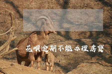 花呗逾期不能办理房贷 花呗逾期不能办理房贷