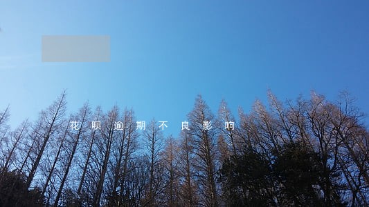 花呗逾期不良影响 花呗逾期不良影响