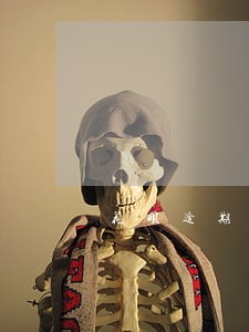 花呗逾期不计入蚂蚁信用 花呗逾期不计入蚂蚁信用