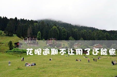 花呗逾期不让用了还能恢复吗 花呗逾期不让用了还能恢复吗