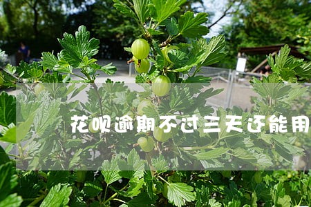 花呗逾期不过三天还能用吗 花呗逾期不过三天还能用吗