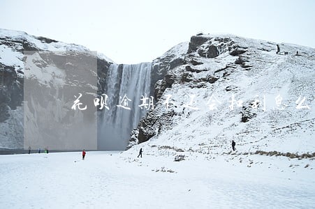 花呗逾期不还会扣利息么 花呗逾期不还会扣利息么