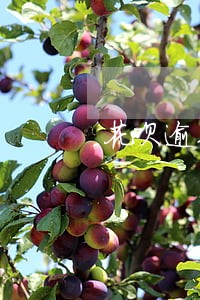 花呗逾期不还会有什么后果 花呗逾期不还会有什么后果