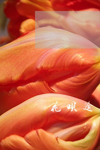 花呗逾期不还多久恢复 花呗逾期不还多久恢复