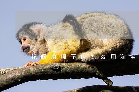 花呗逾期不还怎么用淘宝 花呗逾期不还怎么用淘宝