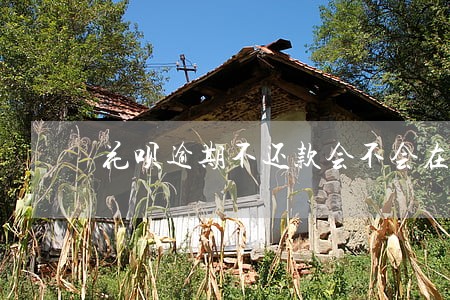 花呗逾期不还款会不会在监狱 花呗逾期不还款会不会在监狱