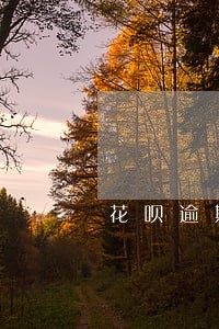 花呗逾期不还款承担什么后果 花呗逾期不还款承担什么后果