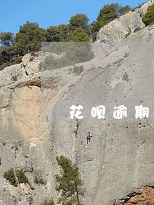 花呗逾期不还款的后果 花呗逾期不还款的后果