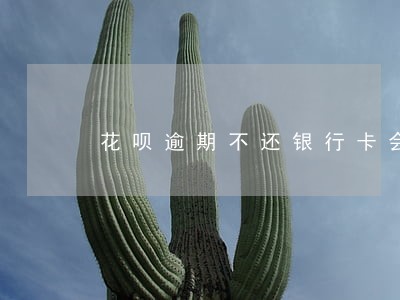 花呗逾期不还银行卡会被冻结 花呗逾期不还银行卡会被冻结
