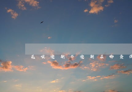 花呗逾期不逾期在哪查询 花呗逾期不逾期在哪查询