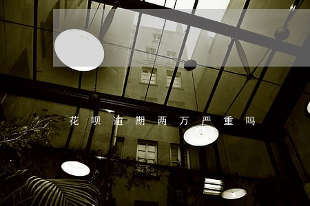 花呗逾期两万严重吗 花呗逾期两万严重吗