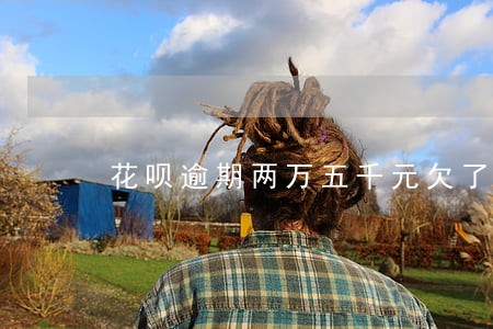 花呗逾期两万五千元欠了两年多 花呗逾期两万五千元欠了两年多