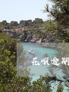花呗逾期两万催收上门 花呗逾期两万催收上门