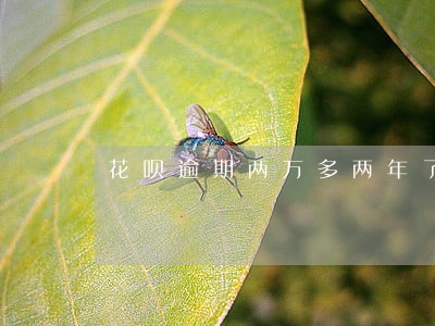 花呗逾期两万多两年了 花呗逾期两万多两年了