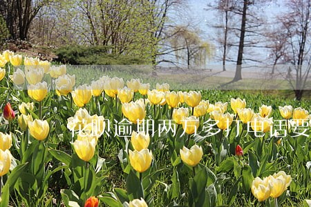 花呗逾期两万多打电话要上门 花呗逾期两万多打电话要上门