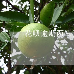 花呗逾期两三天会影响买房按揭吗 花呗逾期两三天会影响买房按揭吗