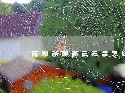 花呗逾期两三天会怎样 花呗逾期两三天会怎样