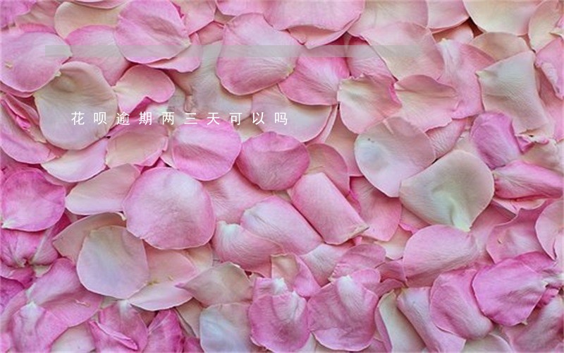 花呗逾期两三天可以吗 花呗逾期两三天可以吗