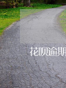 花呗逾期两三天怕吗 花呗逾期两三天怕吗