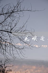 花呗逾期两三天没事吧 花呗逾期两三天没事吧