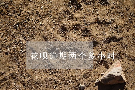 花呗逾期两个多小时 花呗逾期两个多小时