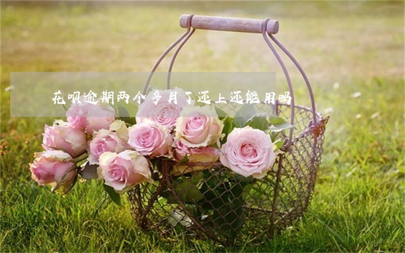 花呗逾期两个多月了还上还能用吗 花呗逾期两个多月了还上还能用吗