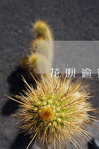 花呗逾期两个多月利息 花呗逾期两个多月利息
