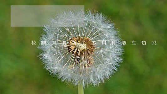 花呗逾期两个多月还能车贷吗 花呗逾期两个多月还能车贷吗