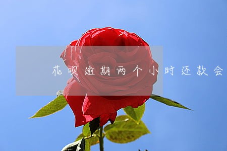 花呗逾期两个小时还款会怎么样 花呗逾期两个小时还款会怎么样