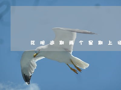 花呗逾期两个星期上征信吗 花呗逾期两个星期上征信吗