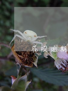 花呗逾期两个月严重后果会怎样 花呗逾期两个月严重后果会怎样