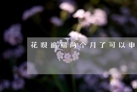 花呗逾期两个月了可以申请网贷吗