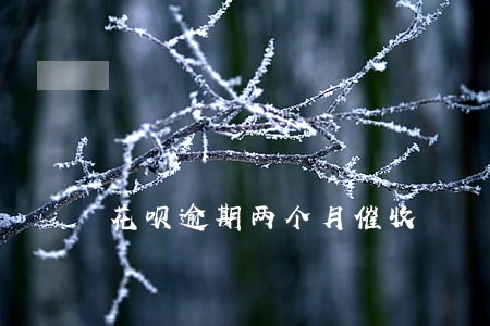 花呗逾期两个月催收