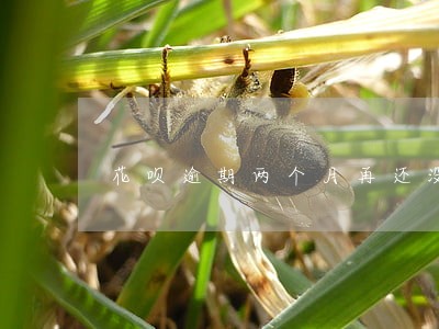 花呗逾期两个月再还没事吧 花呗逾期两个月再还没事吧