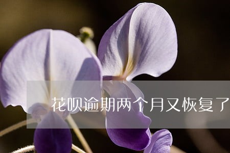 花呗逾期两个月又恢复了