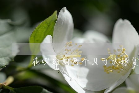 花呗逾期两个月可以修复吗
