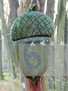 花呗逾期两个月后多久能恢复 花呗逾期两个月后多久能恢复