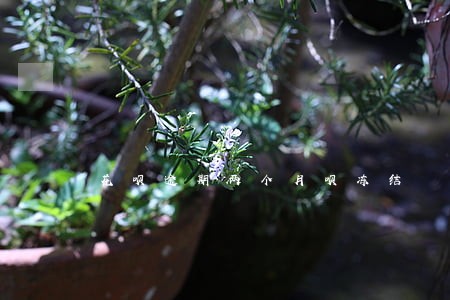 花呗逾期两个月呗冻结