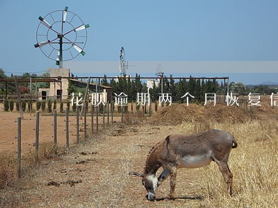 花呗逾期两个月恢复信用 花呗逾期两个月恢复信用