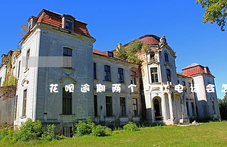 花呗逾期两个月打电话会怎样