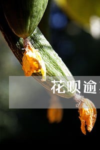 花呗逾期两个月收到律师函短信 花呗逾期两个月收到律师函短信