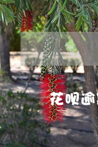 花呗逾期两个月的后果 花呗逾期两个月的后果