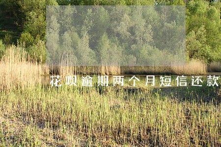 花呗逾期两个月短信还款 花呗逾期两个月短信还款
