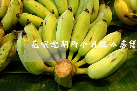 花呗逾期两个月能办房贷吗